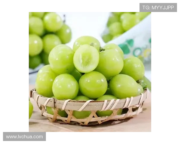 京葡萄官网app商品分类与推荐，帮您轻松找到心仪的优质葡萄