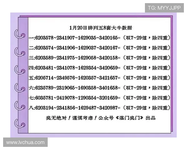 2026年最新六合彩在线注册平台推荐，全面提升购彩效率与中奖几率