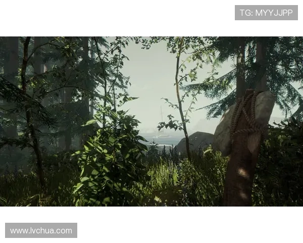 乐透游戏官网新手入门指南，详细介绍注册、投注及领奖流程