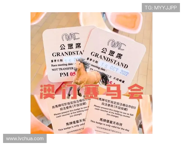 关于赛马会官网地址常见问题解答，解决用户在访问过程中遇到的各种疑问与困扰