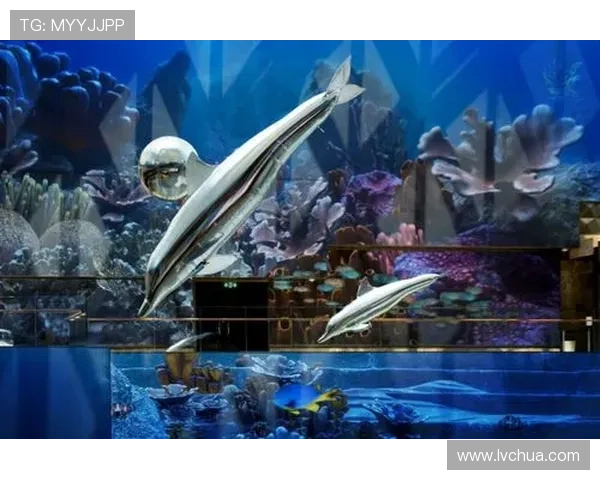 在美狮美高梅视博广场享受高品质视听体验的实用技巧与建议