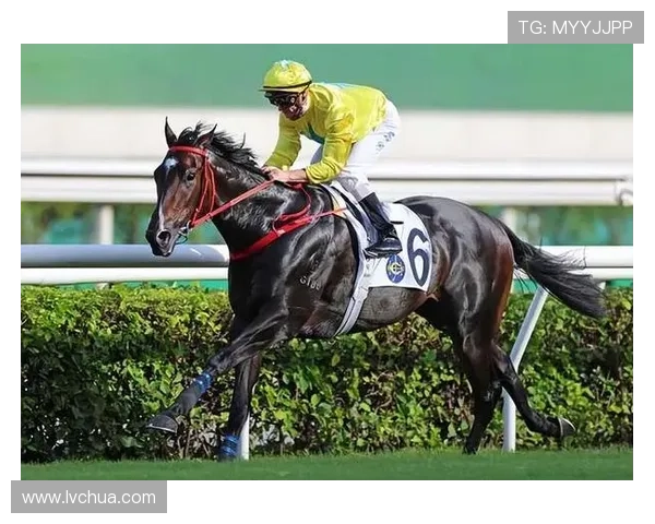 如何使用中文名称注册香港赛马会投注户口确保账户安全与顺利登录