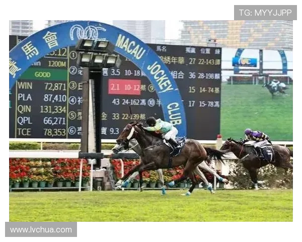 掌握澳门赛马资讯，获取赛马比赛时间、赛马场地及赛事精彩瞬间回顾